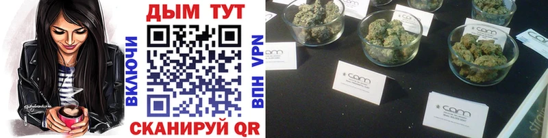 купить наркотики сайты  Суджа  МАРИХУАНА Ganja 